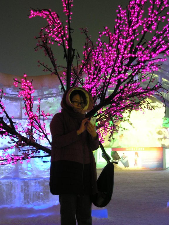 bloomingtrees4.jpg